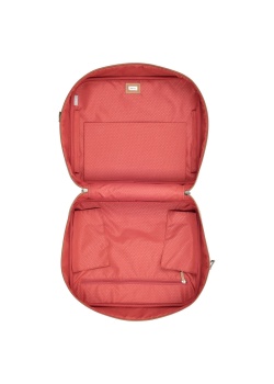 Travel bag  Delsey CHATELET AIR
