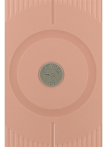 Чемодан 55 cm RC 2.0 Pink