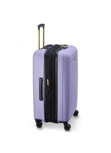 Trolley 70 cm Delsey SEGUR 2.0