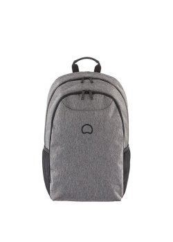 Рюкзак Delsey ESPLANADE 15.6