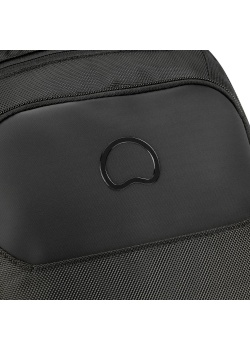 Рюкзак Delsey  PARVIS PLUS 15.6
