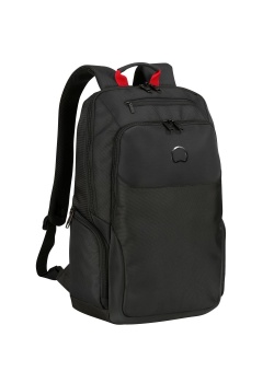 Рюкзак Delsey  PARVIS PLUS 17.3