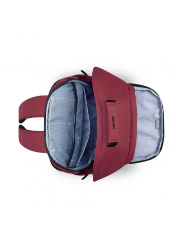 Рюкзак Delsey SECURBAN 15